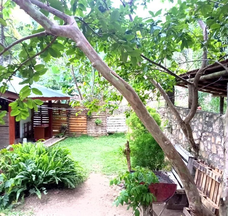 Ella Foret Accommodation Экстерьер фото