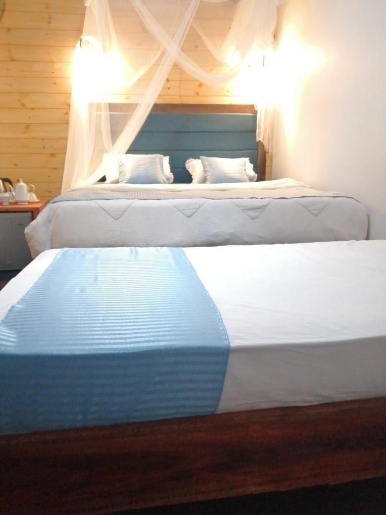 Ella Foret Accommodation Экстерьер фото