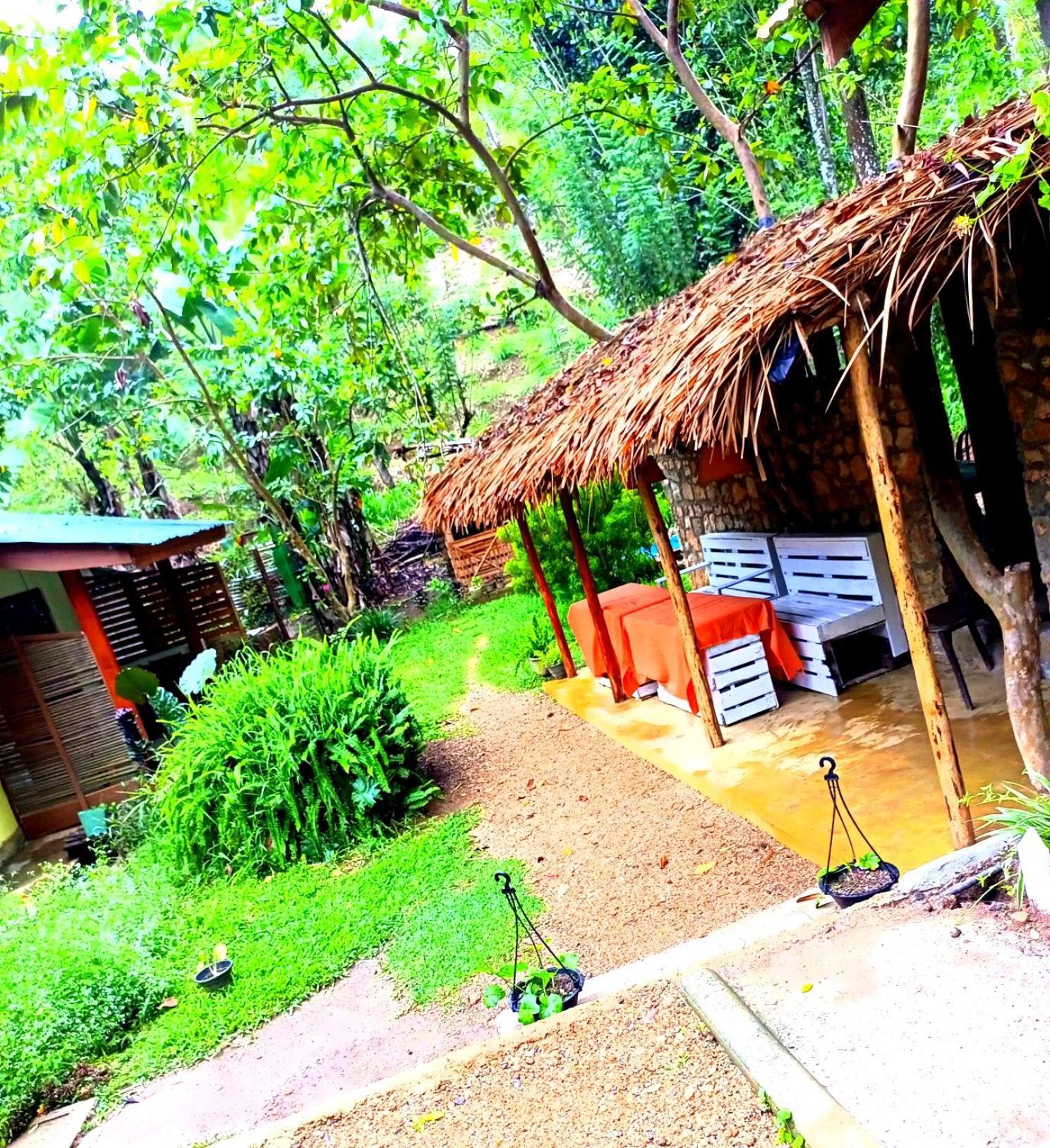 Ella Foret Accommodation Экстерьер фото